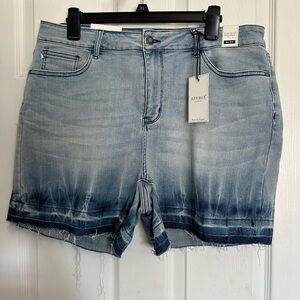 NWT Judy Blue Shorts 2XL